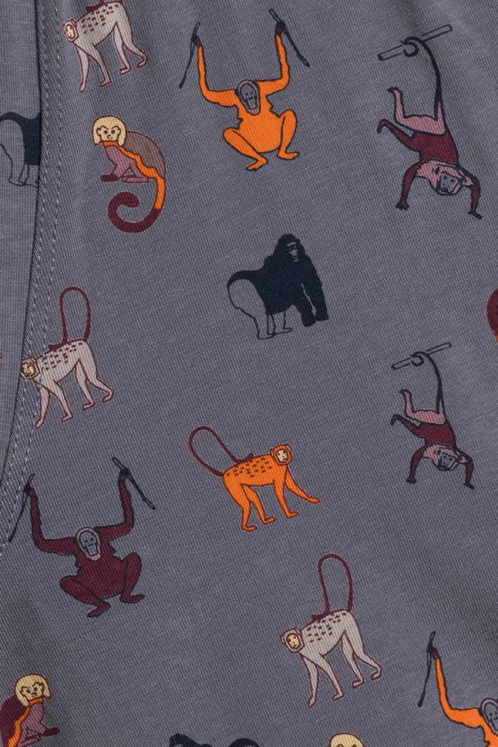 Труси-боксери з принтом Мавпочки Atlantic 2MH-064 (2 шт)