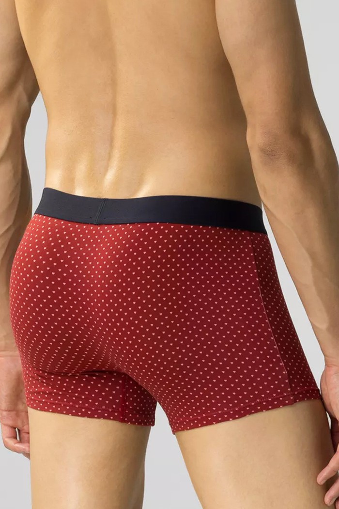 Трусы-боксеры мужские с принтом Медведи Atlantic 2GMH-025 (2 шт)