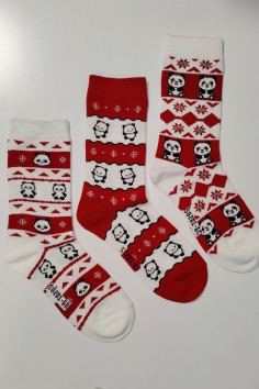 Шкарпетки жіночі подарункові з принтом Coalo BM6307 (3 пари) 2