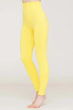 Леггинсы бесшовные непрозрачные Giulia Leggings model 2 | InSecret.ua