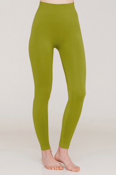 Леггинсы бесшовные непрозрачные Giulia Leggings model 2 | InSecret.ua