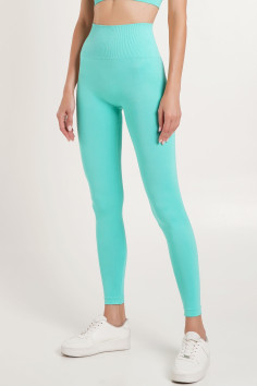 Леггинсы бесшовные с Push-up эффектом Giulia LEGGINGS SHAPE | InSecret.ua