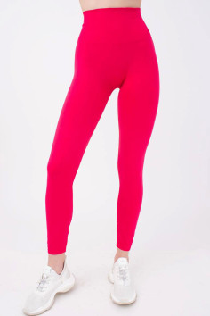 Леггинсы непрозрачные с широким поясом GIULIA Leggings Energy | InSecret.ua