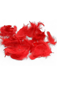 Перья декоративное Obsessive PIÓRKA FEATHERS | InSecret.ua