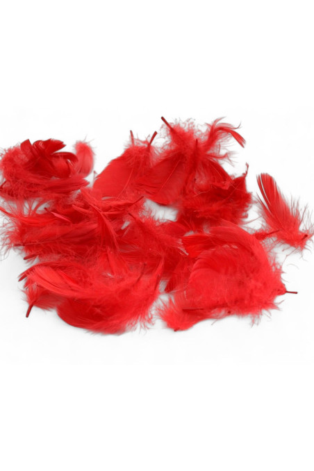 Пір'ячко декоративне Obsessive PIÓRKA FEATHERS  — купити в InSecret.ua