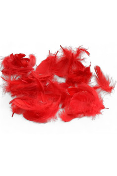 Перья декоративное Obsessive PIÓRKA FEATHERS | InSecret.ua 2