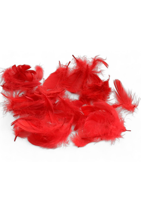 Пір'ячко декоративне Obsessive PIÓRKA FEATHERS  — купити в InSecret.ua