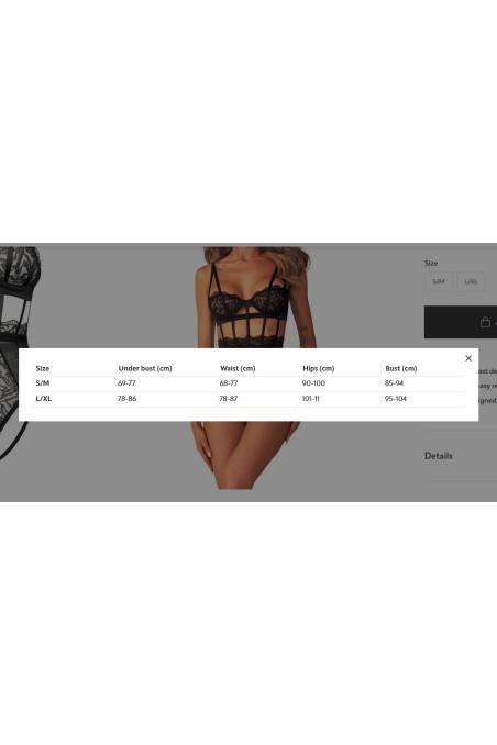 Боді-портупея декоративне Obsessive Hersis lacy harness  — купити в InSecret.ua