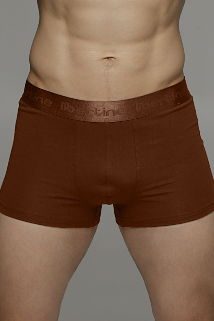 Боксери чоловічі з модалу Libertine 1122/15004-2 — купити в InSecret.ua