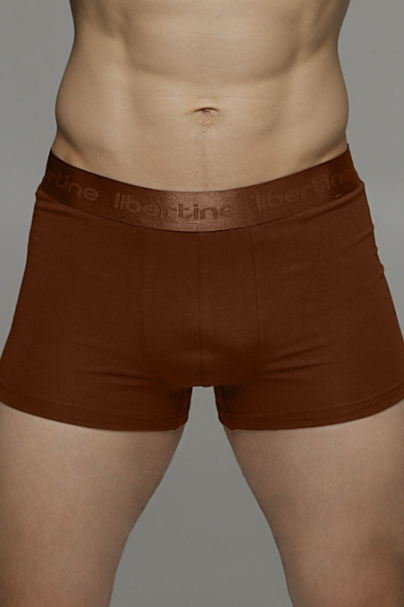 Боксери чоловічі з модалу Libertine 1122/15004-2 — купити в InSecret.ua