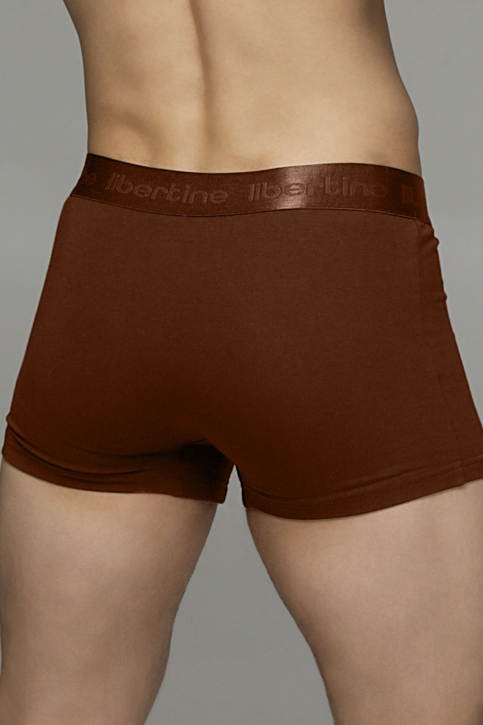 Боксери чоловічі з модалу Libertine 1122/15004-2 — купити в InSecret.ua