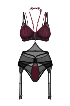 Комплект напіврозорої білизни з поясом для панчіх Obsessive Parisel Set — купити в InSecret.ua 2