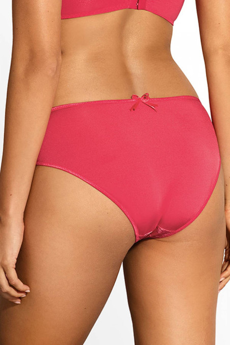 Трусики сліп напівпрозорі Ewa Bien Latona C100