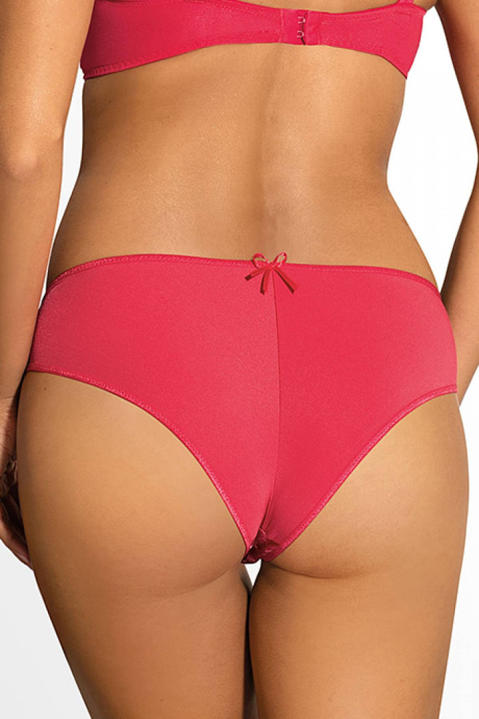 Трусики бриф напівпрозорі Ewa Bien Latona C511