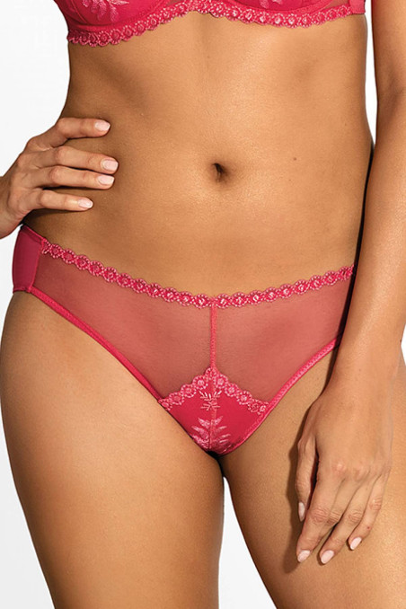 Трусики бриф напівпрозорі Ewa Bien Latona C511