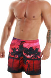 Мужские пляжные шорты с ярким принтом Jolidon B601I RI