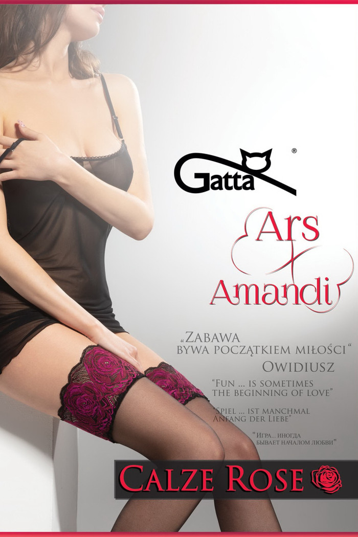 Панчохи з рожевим мереживом Gatta Ars Amandi Calze Rose