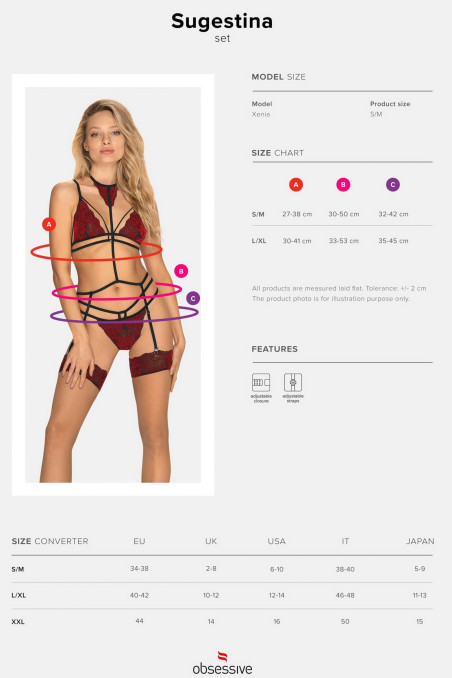 Комплект з портупеєю-поясом для панчіх Obsessive Sugestina set
