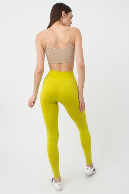 Леггинсы бесшовные Giulia Leggings model 2 FRAGILE SPROUT