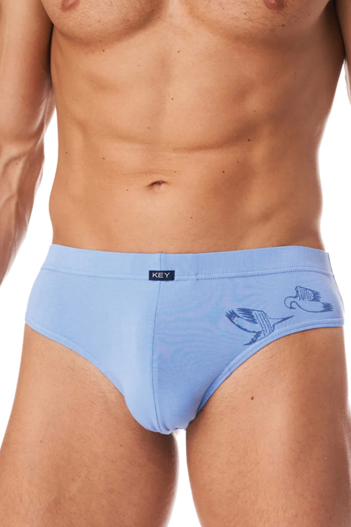 Чоловічі труси-сліп з принтом KEY MPP 455 A23 (2 шт)