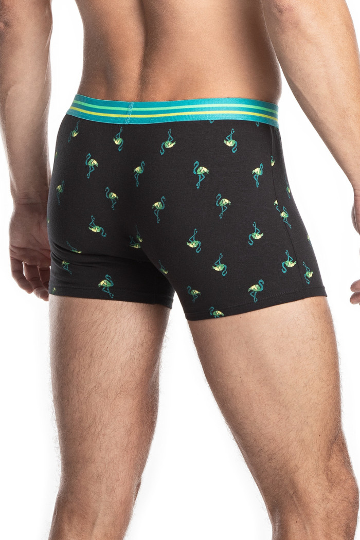 Труси-боксери з принтом LAMA M-978SZG