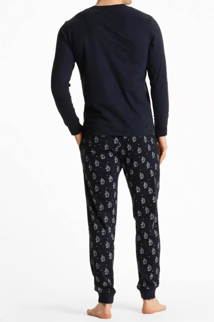 Мужской комплект-пижама с принтом "Ежики" Atlantic NMP-361/07