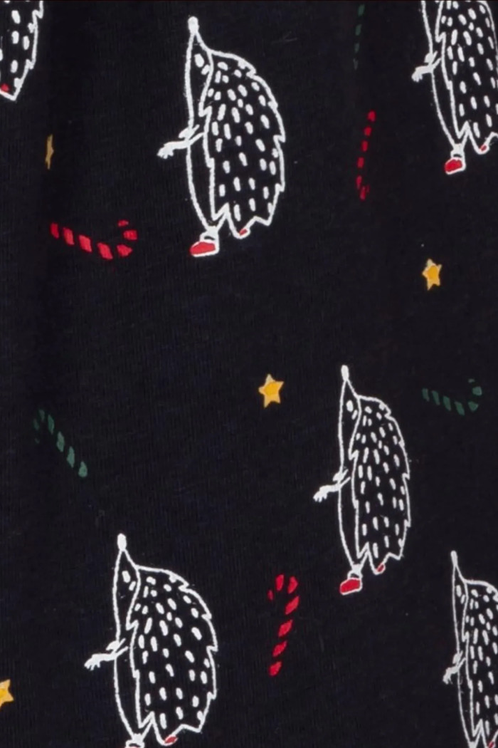 Мужской комплект-пижама с принтом "Ежики" Atlantic NMP-361/07