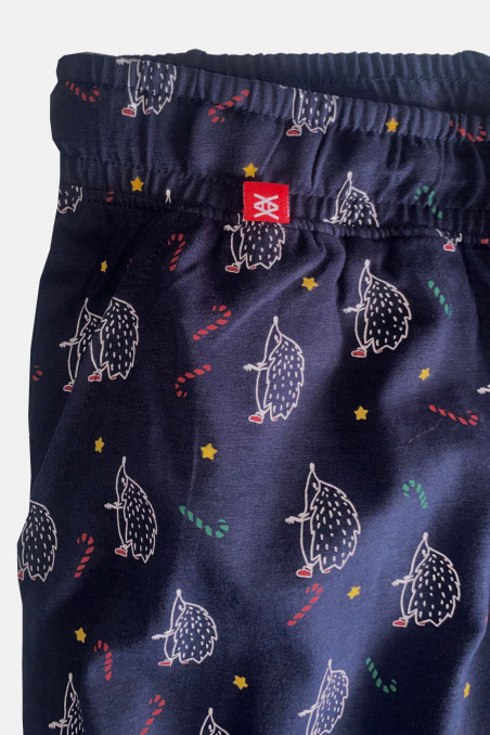 Мужской комплект-пижама с принтом "Ежики" Atlantic NMP-361/07