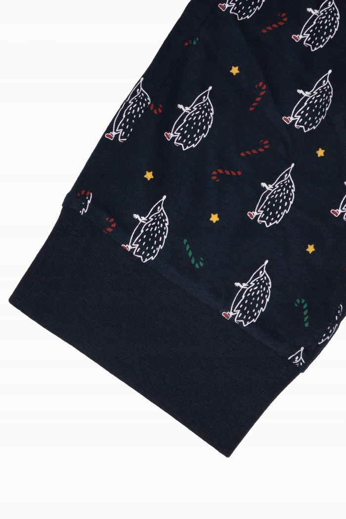 Мужской комплект-пижама с принтом "Ежики" Atlantic NMP-361/07