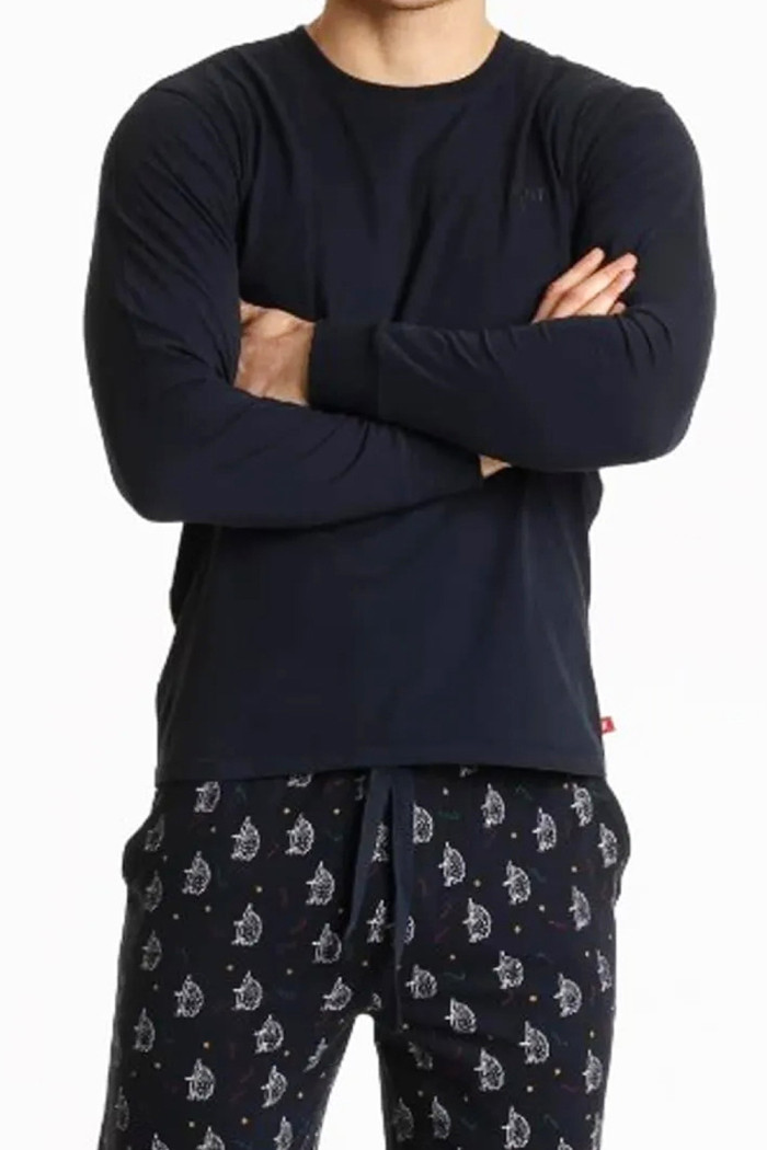 Мужской комплект-пижама с принтом "Ежики" Atlantic NMP-361/07