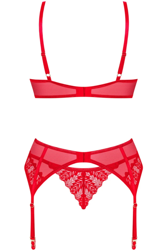 Комплект білизни червоний з поясом Obsessive Ingridia garter belt set